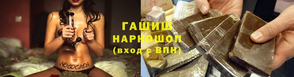 молекула духа Бородино