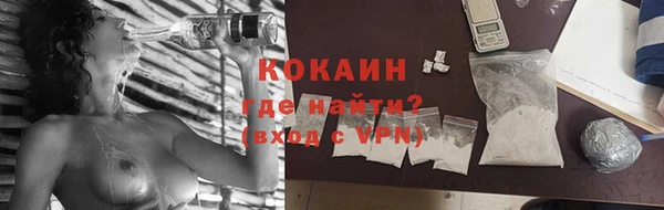 твердый Михайловск