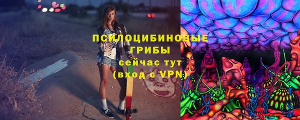 твердый Михайловск