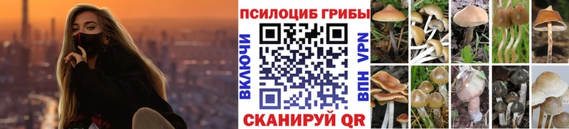 Галлюциногенные грибы Cubensis  Красноярск 