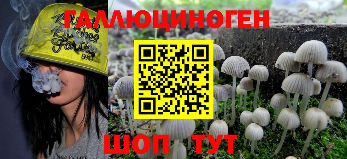 Красноярск  наркошоп  Вход с VPN  Галлюциногенные грибы Psilocybine cubensis 