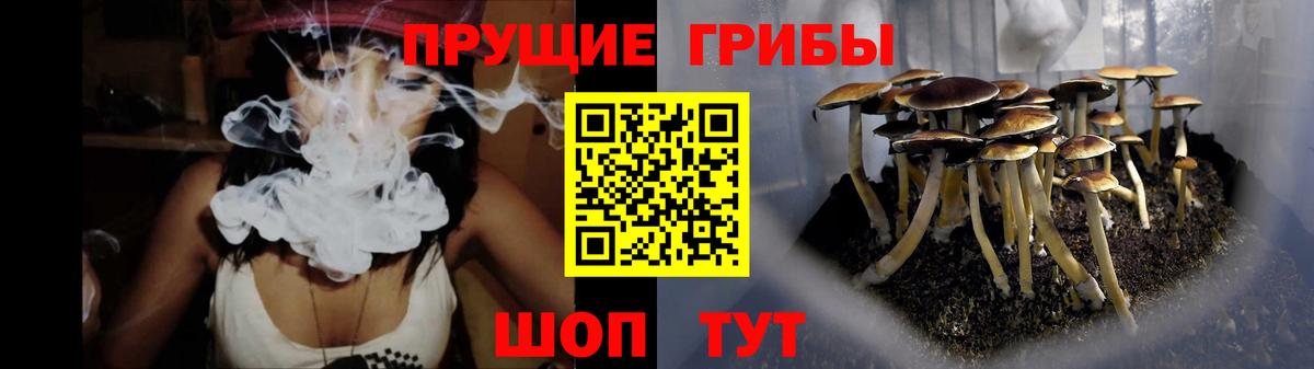 Галлюциногенные грибы мухоморы Красноярск